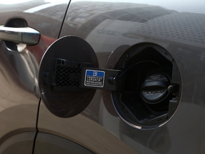 2021300TGI ԄӃTrophy w