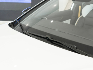 2021Pro 1.5T Ԅ(dng)TrophyŞ ˢ