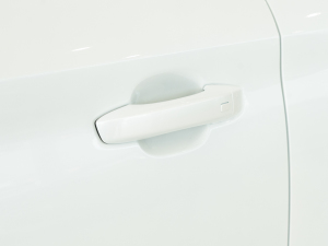 2021Pro 1.5T Ԅ(dng)TrophyŞ {T