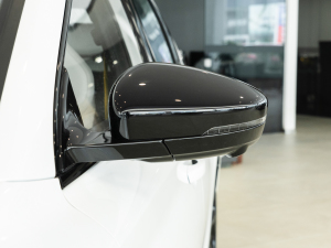 2021Pro 1.5T Ԅ(dng)TrophyŞ (x)(ji)^