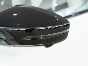 2021Pro 1.5T Ԅ(dng)TrophyŞ (x)(ji)^