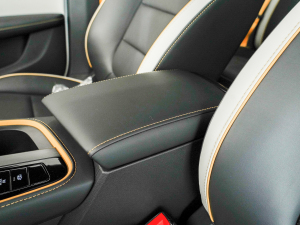 2021Pro 1.5T ԄTrophyŞ 