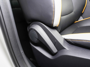 2021Pro 1.5T ԄTrophyŞ g