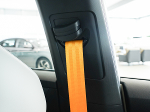 2021Pro 1.5T ԄTrophyŞ g