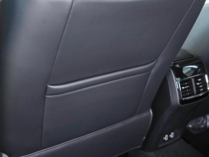 2021Pro 1.5T ԄTrophyŞ g