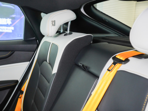 2021Pro 1.5T ԄTrophyŞ g