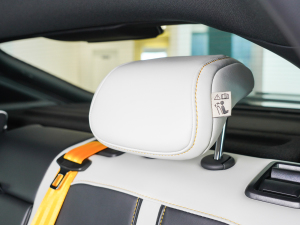 2021Pro 1.5T ԄTrophyŞ g