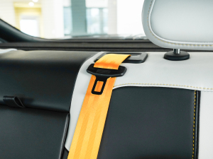 2021Pro 1.5T ԄTrophyŞ g