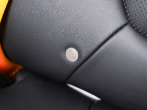 2021Pro 1.5T ԄTrophyŞ g