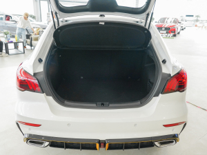 2021Pro 1.5T ԄTrophyŞ g