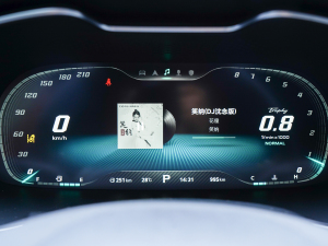 2021Pro 1.5T Ԅ(dng)TrophyŞ п؅^(q)