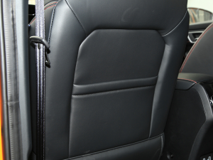 2021Pro 1.5T Ԅ(dng)I(lng)A g