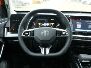 2022-(sh)\ϵ 1.5T (chung) P