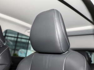 2022-|ϵ 1.5T M1078 g