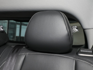 2022-|ϵ 1.5T M1078 g