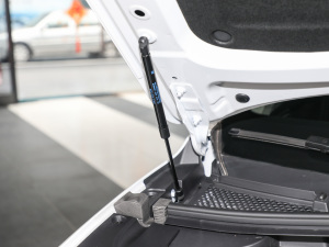 2022-|(zh)ϵ 1.5T M(mn)1078 