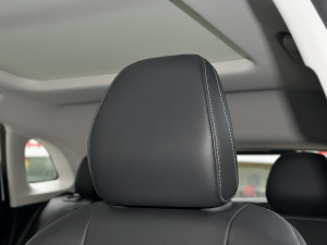 2022-|ϵ 1.5T M1128 g