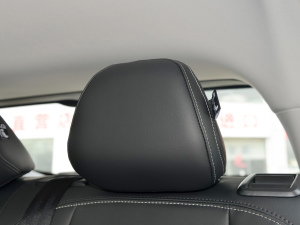 2022-|ϵ 1.5T M1128 g