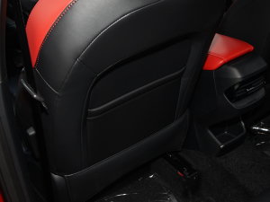 2022300TGI DCTԽŞ g