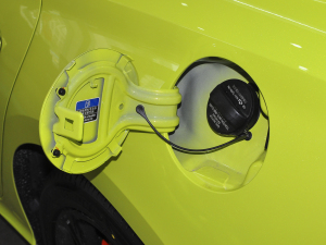 20221.5T Trophy\(yn)(dng)Ş (x)(ji)^