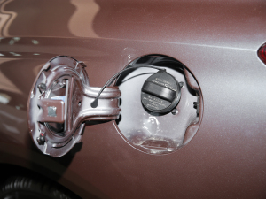 20221.5T Trophy\(yn)(dng) w