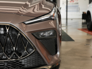 20221.5T Trophy\Ӻ ^