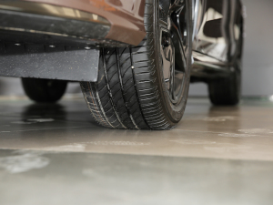 20221.5T Trophy\Ӻ ^