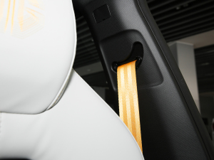 20221.5T Trophy\Ӻ g