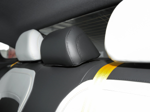 20221.5T Trophy\Ӻ g