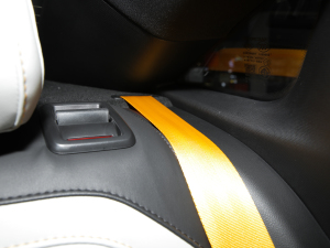 20221.5T Trophy\Ӻ g