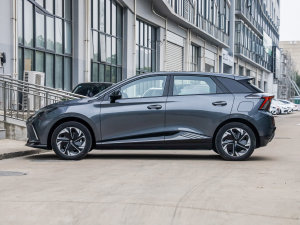 2022款520km 旗舰版 整体外观