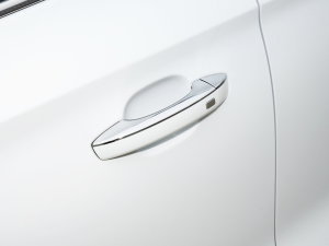 2022180DVVT քȫf858 {T