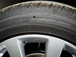 2022180DVVT քȫf858 ݆̥ߴ