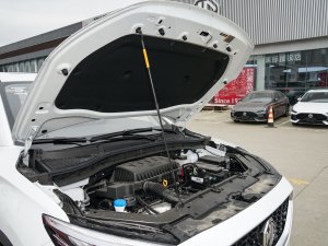 2022180DVVT քȫf858 