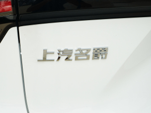 2023款425km行政版 细节外观