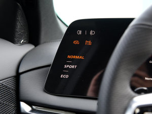 20232.0T ԄTrophy+ҫ п؅^