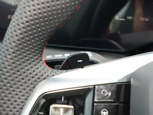 20231.5T DCT(yu)Ű п؅^(q)