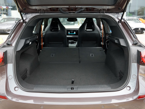 2023-(sh)\(yn)(dng)M(jn)A  g