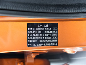 2015款2.0TGI TST四驱旗舰版 其它