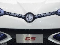 ϸMG iGSϸ