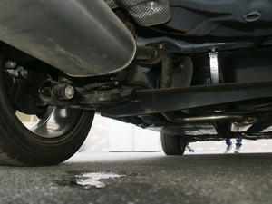 2017Tommy Hilfiger (x)(ji)^