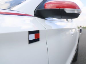 2017Tommy Hilfiger (ji)^