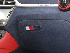 2017Tommy Hilfiger g