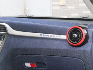 2017Tommy Hilfiger g