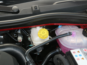 201720T ԄTrophyW V 