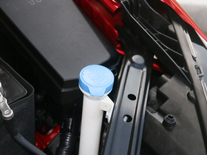 201720T ԄTrophyW V 