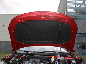 201720T ԄTrophyW V 