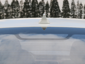 201720T ԄTrophy(lin)W(wng) V (x)(ji)^