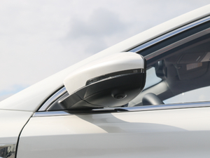 201720T ԄTrophyW V ^