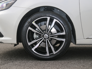 201720T ԄTrophyW V ݆Ȧ